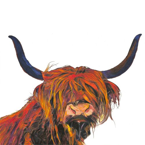 Pencil and Colour Drawn Cow